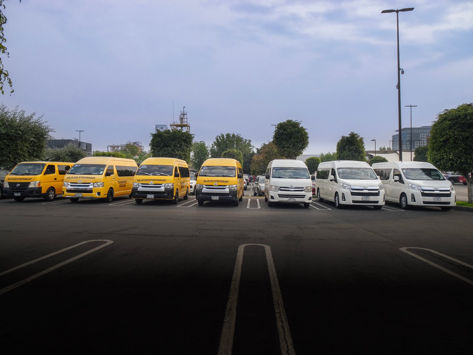 Quiénes somos - CAMARY